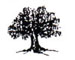 NC-tree