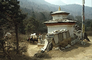 Dengboche 07 große stupa P 0300