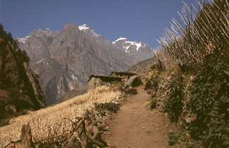 Manaslu 2005 AdR 090 P 0325