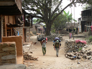 n05-01 armala hps 03 P0300