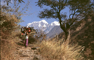 Manaslu 2005 AdR 063 P 0325