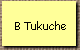 B Tukuche