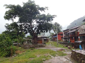 Nepal Monsun treking   Annapurna Mulbazar