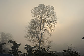 Chitwan 2011 10 Nebel y220