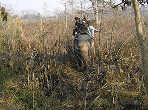 chitwan 2009 47 elephant ride y220