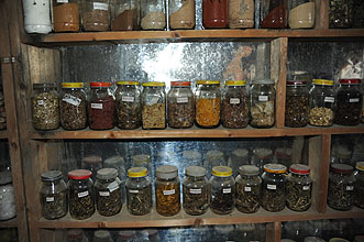 tibetan medicine