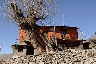 Ghongur gompa