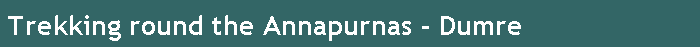 Trekking round the Annapurnas - Dumre