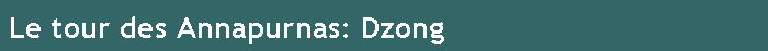 Le tour des Annapurnas: Dzong