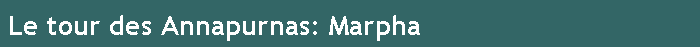 Le tour des Annapurnas: Marpha