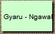 Gyaru - Ngawal