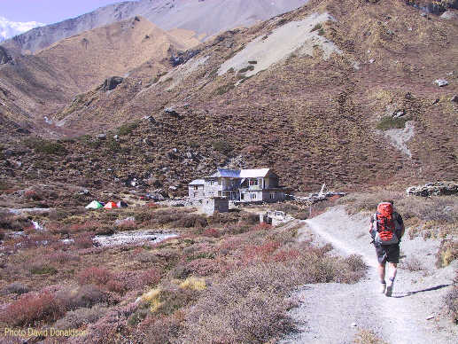 tilicho base camp lodge