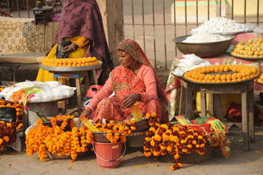 N13-Janakpur 195 x0380