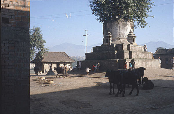 KAthmandu 1981 Maharuti Paltz mit Baumstupa PSDx600