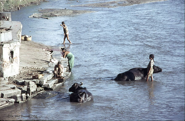 Wolf Donner NEP 040 L�ndliche szene am Visnumathi-Stadtrand Kathmandu 1966x0600