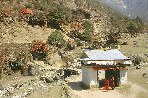 Nagpa la Nepal trekking