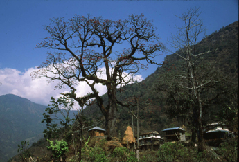 simalchaur Annapurna