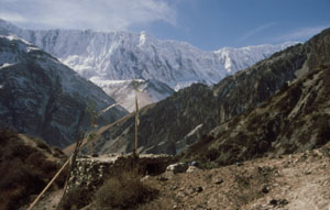 Tilicho 98-07P 0300