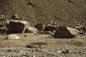 Tilicho 99-20P 0300