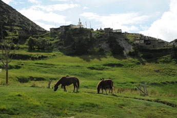 Monsun annapurna Braka horses