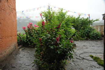 16 Annapurna Monsun-08 x0345