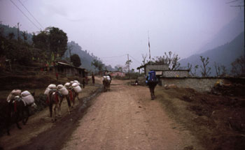 Annapurna Dumre 0710P 0350
