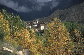 Putak Annapurna 19 h220