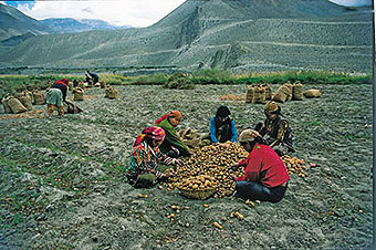 DNH Kalender 2011 Monat 10