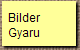  Bilder 
Gyaru