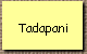 Tadapani