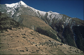 Gyaru +  Pisang peak 2 x345