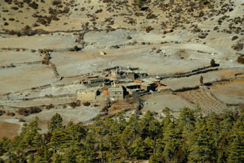DSC_7461 x345