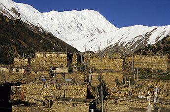 Khangsar--0863x 345 Khangsar--0863x 345