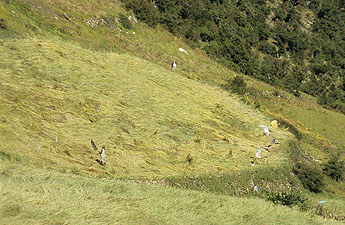 Khangsar--0889x 345 Khangsar--0889x 345