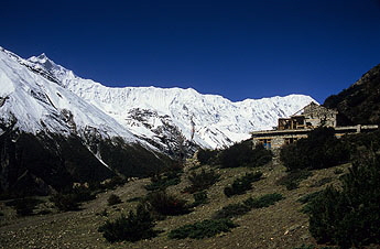 Khangsar Shree Kharka-0903 x 345 Khangsar Shree Kharka-0903 x 345