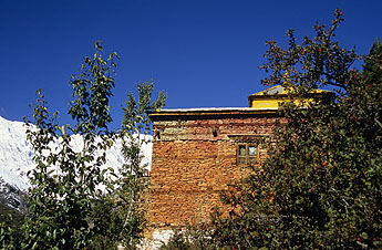 Khangsar Tara Gompa-0897 x 345 Khangsar Tara Gompa-0897 x 345