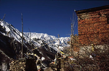 Khangsar Tara gompa 05-0001 x 350 Khangsar Tara gompa 05-0001 x 350