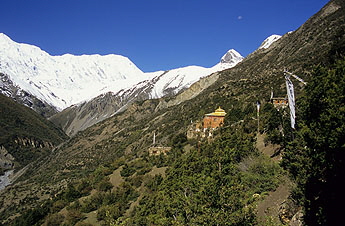 Khangsar Tara Gompa -0896  x 345