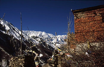 Khangsar Tara gompa 05-0001 x 350