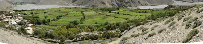 DSC_4137x fields of Pakling