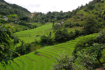 Foto Prem Rai  793 x345