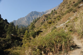 DSC_7011 x345