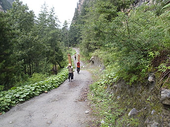 Bild 100 x345