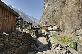 DSC_7224ff HDR Chame x345