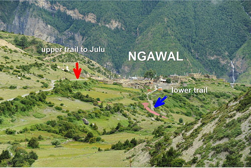 Ngawal upper and lower trails- x 500