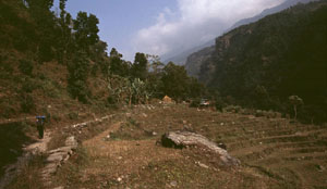 manaslu 2005 adr 021 P0300