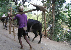 n05-00 anfahrt hh10p 0300