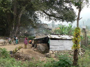 n05-01 armala hps 01 P0300