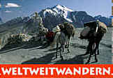 Logo Reiseveranstalter Weltweitwandern himlaja